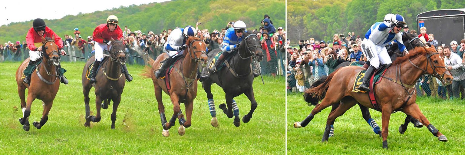 montage of galloping racehorses on turf