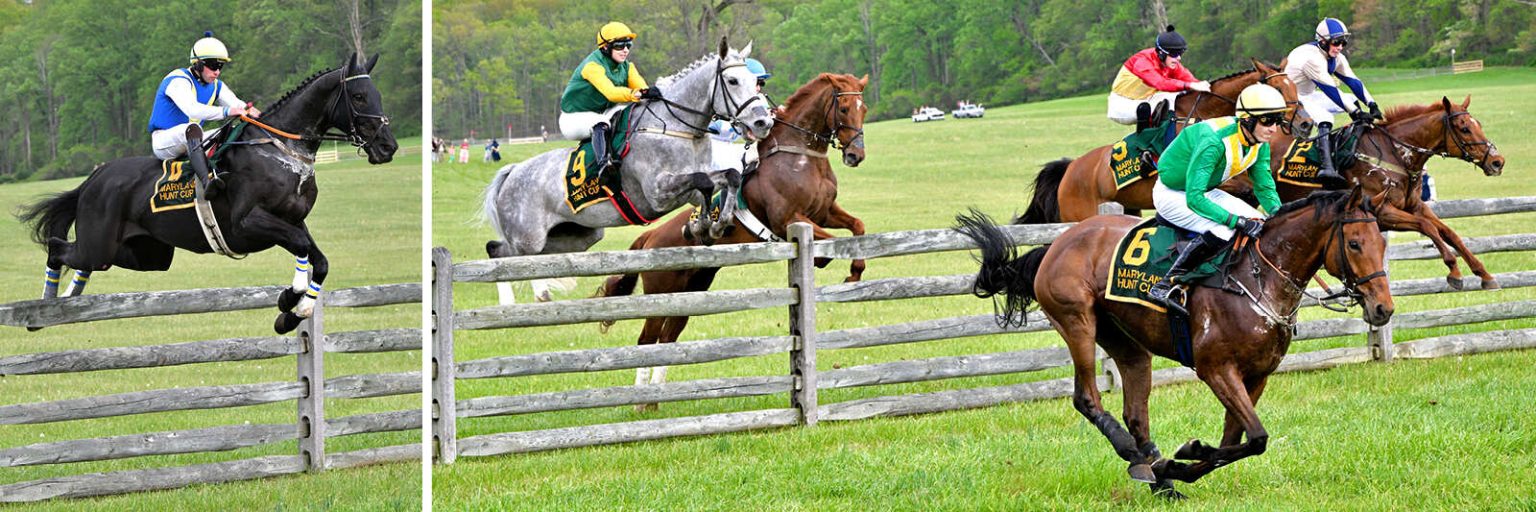 steeplechase horses jumping a timber fence