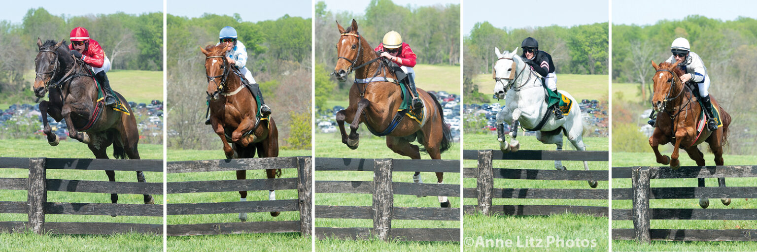 Finishers of the 2022 Hunt Cup over the last fence